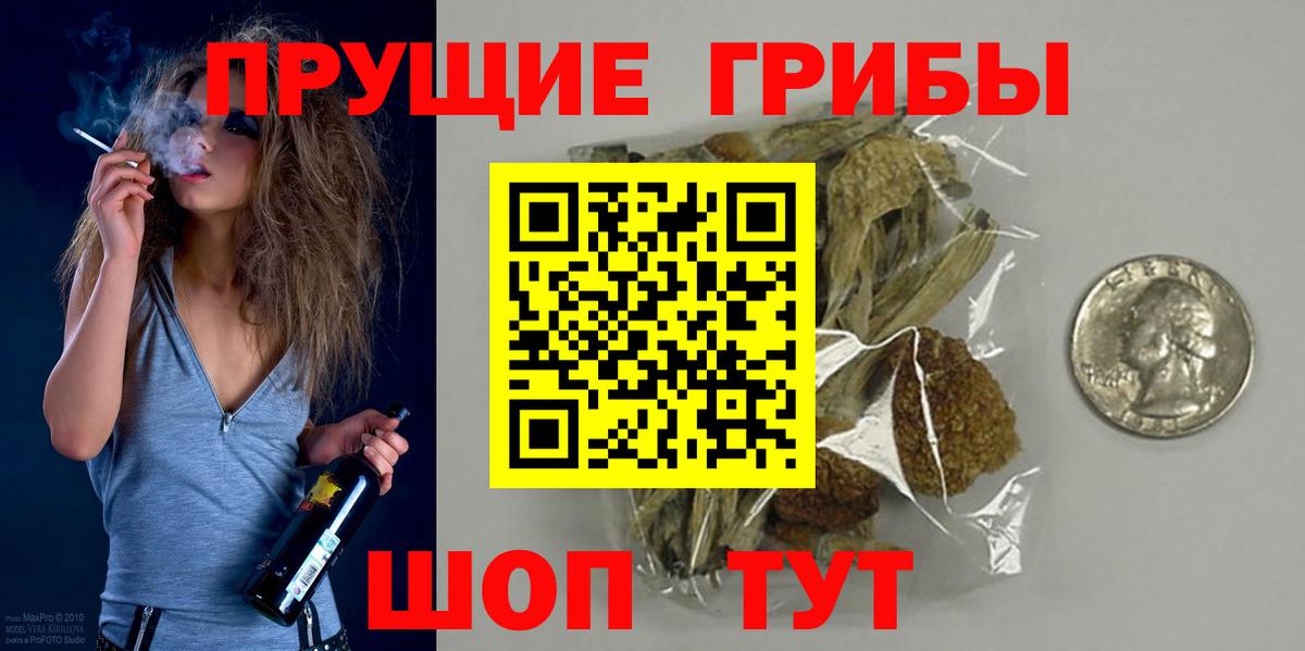 Псилоцибиновые грибы Cubensis  Вход с VPN  Аргун  купить наркотик  Псилоцибиновые грибы мицелий 