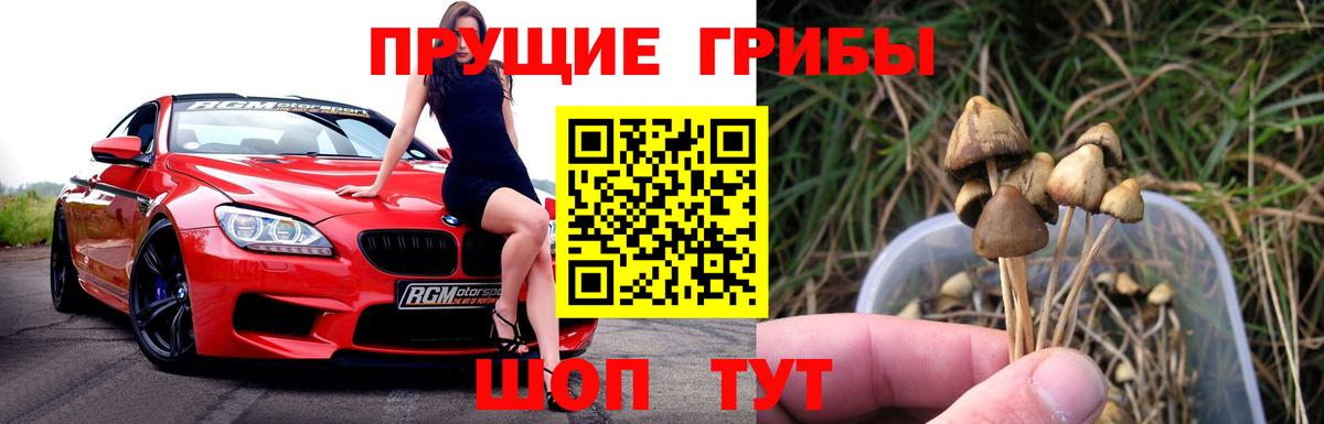 Псилоцибиновые грибы прущие грибы Аргун
